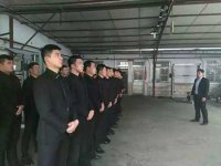 雇保鏢多少錢（雇傭保鏢多少錢？）